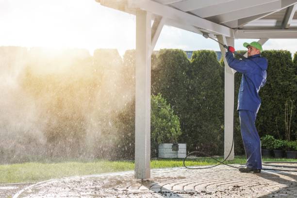 Best Driveway Pressure Washing  in Scott Af, IL