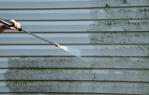 Best Dumpster Area Cleaning  in Scott Af, IL